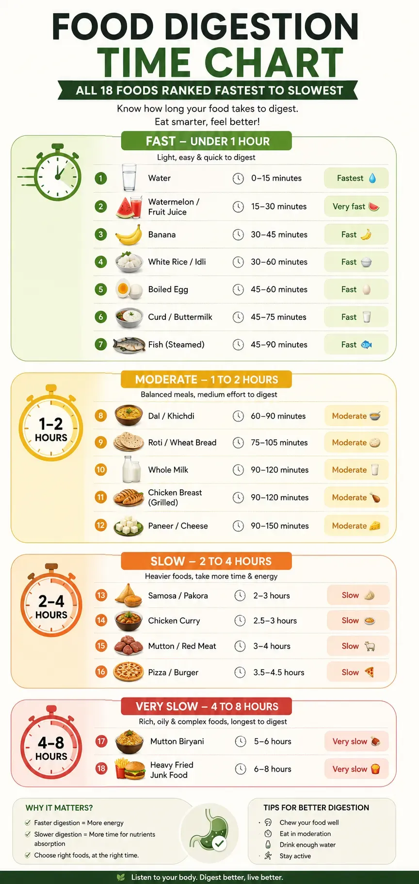 Food digestion time chart infographic showing common foods ranked by digestion speed