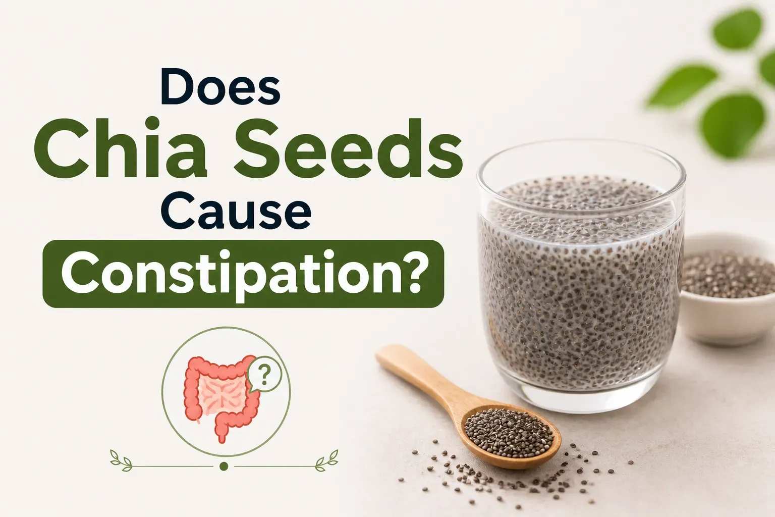 Does Chia Seeds Cause Constipation? The Full Answer
